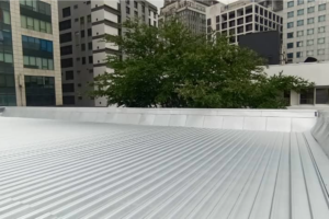 The Five - Metal Roofing (Block B)